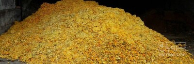 فروش پوست پرتقال