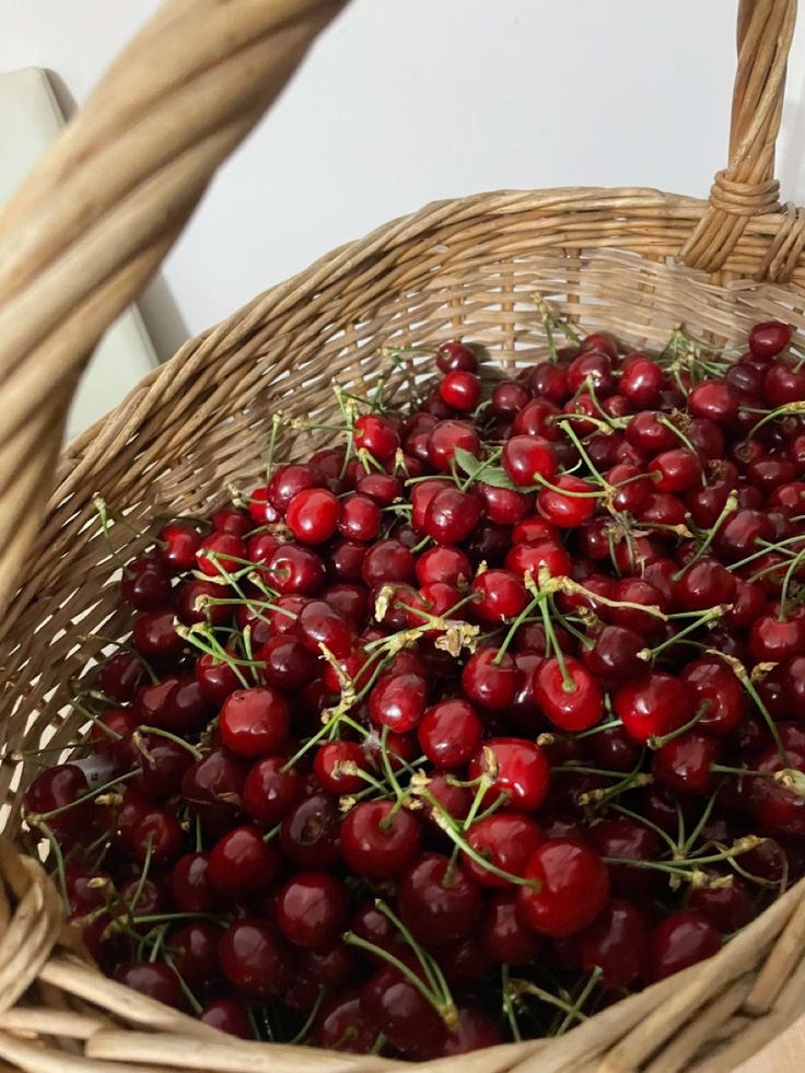 فروش گیلاس فرنگی