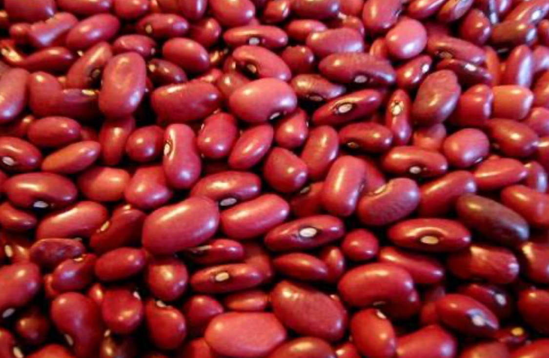 فروش لوبیا قرمز