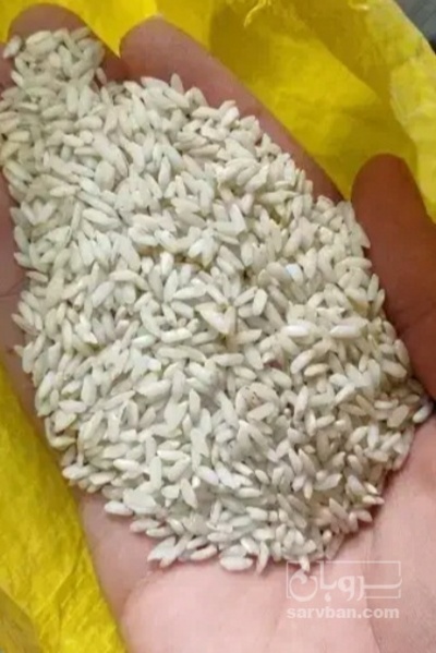 فروش برنج عنبر بو