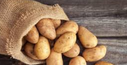 فروش سیب زمینی
