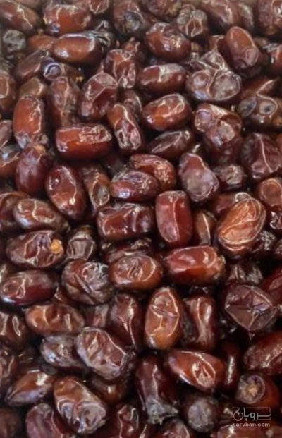 فروش خرماکلوته