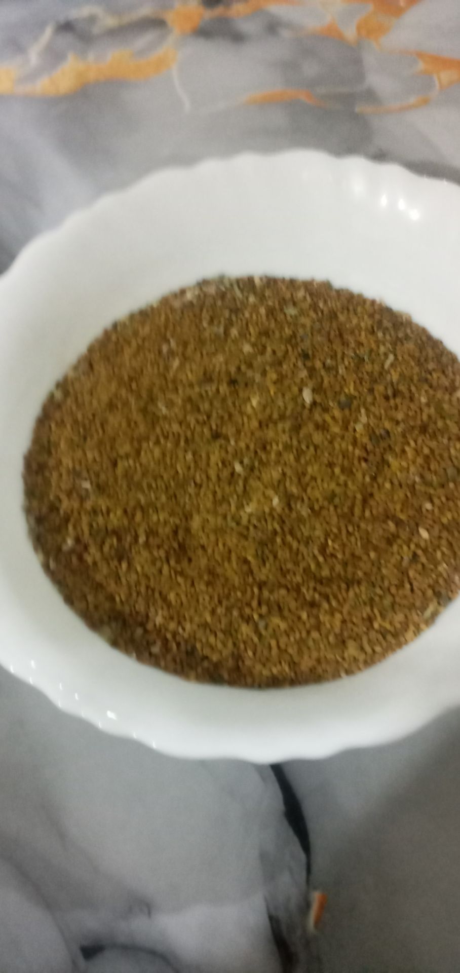 فروش بذر یونجه