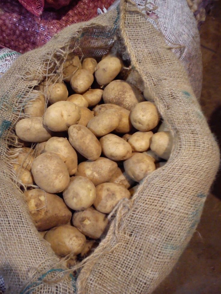 فروش سیب زمینی