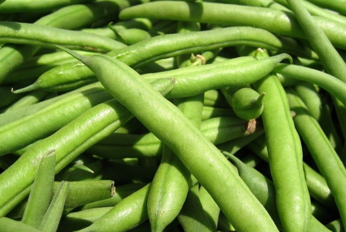 فروش لوبیا سبز