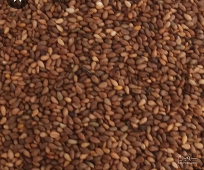 فروش کنجد