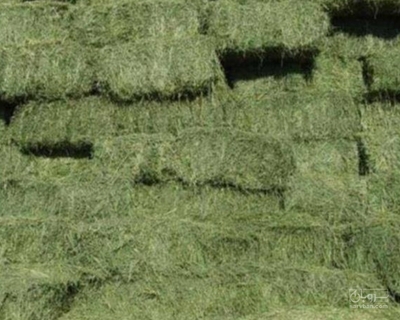فروش یونجه