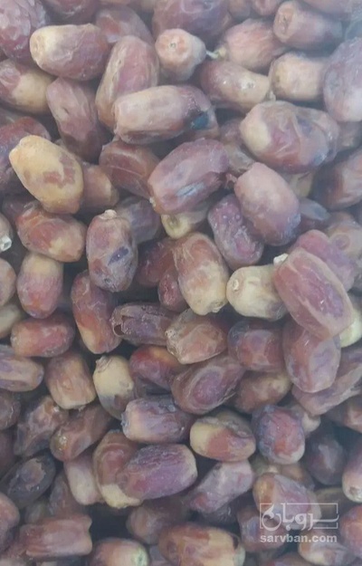 فروش خرما زاهدی