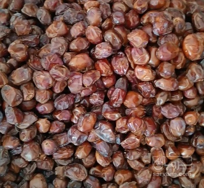 فروش خرما هلیله