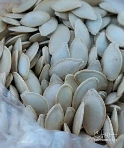 فروش تخمه  کدو بو داده