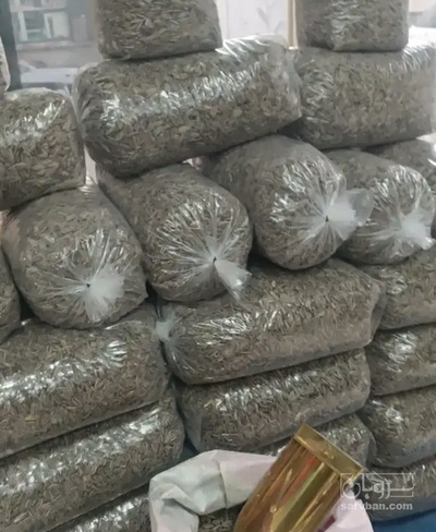 فروش تخمه آفتابگردان بود داده