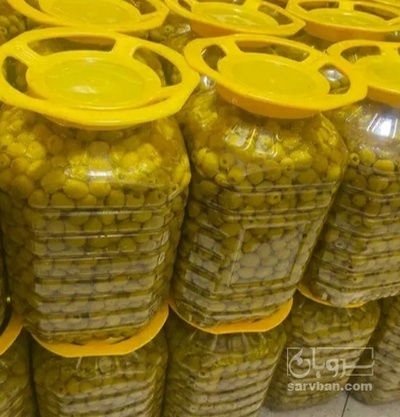 فروش زیتون بی هسته