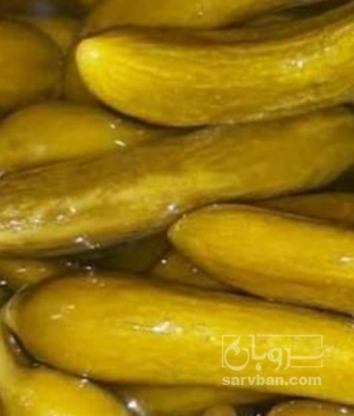 فروش خیار شور شیشه