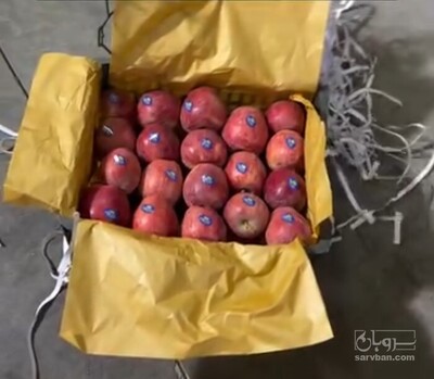 فروش سیب قرمز