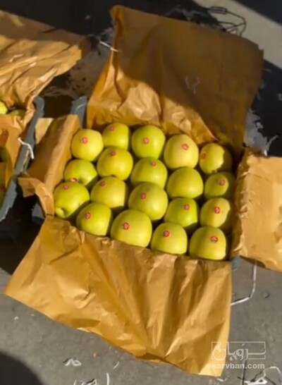 فروش سیب سفید