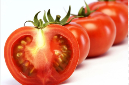 فروش گوجه فرنگی