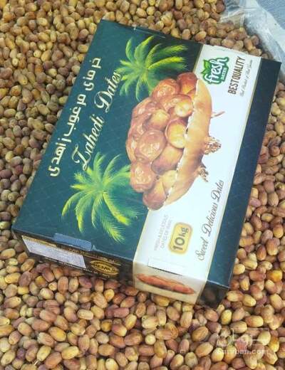 فروش خرما زاهدی