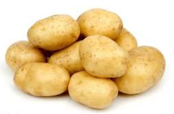 فروش سیب زمینی