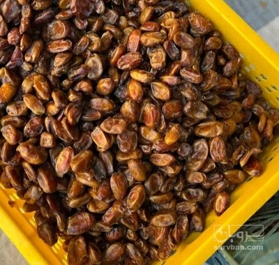 فروش خرما کلوته