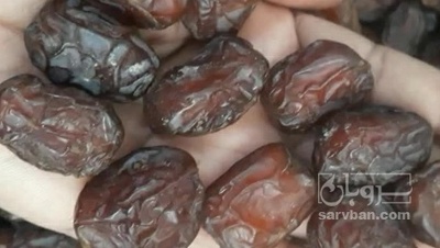 فروش خرما کلوته