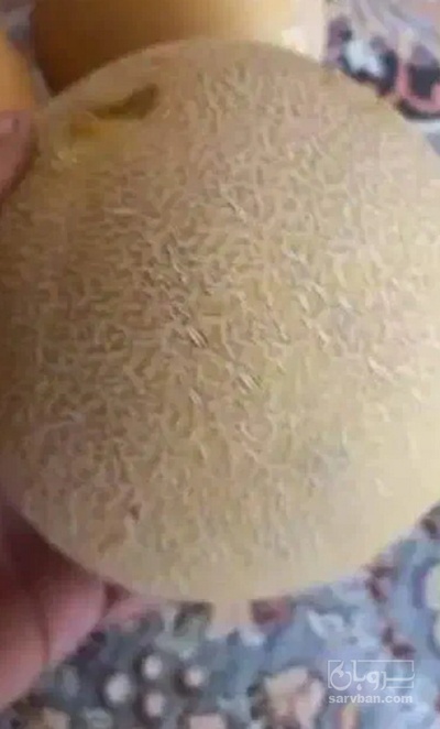 فروش ملون