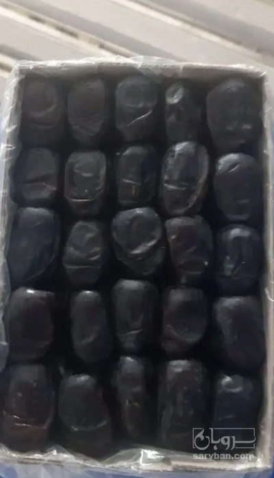 فروش خرما مضافتی