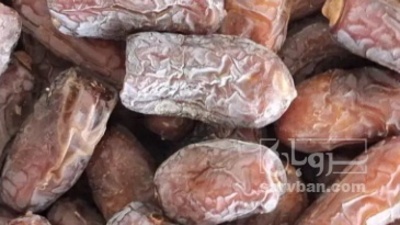 فروش خرما کلوته