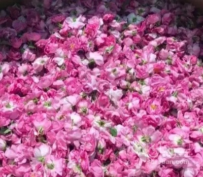 فروش عرق گلاب