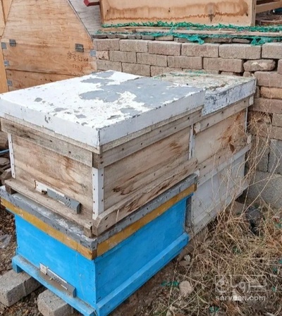 فروش عسل کندو