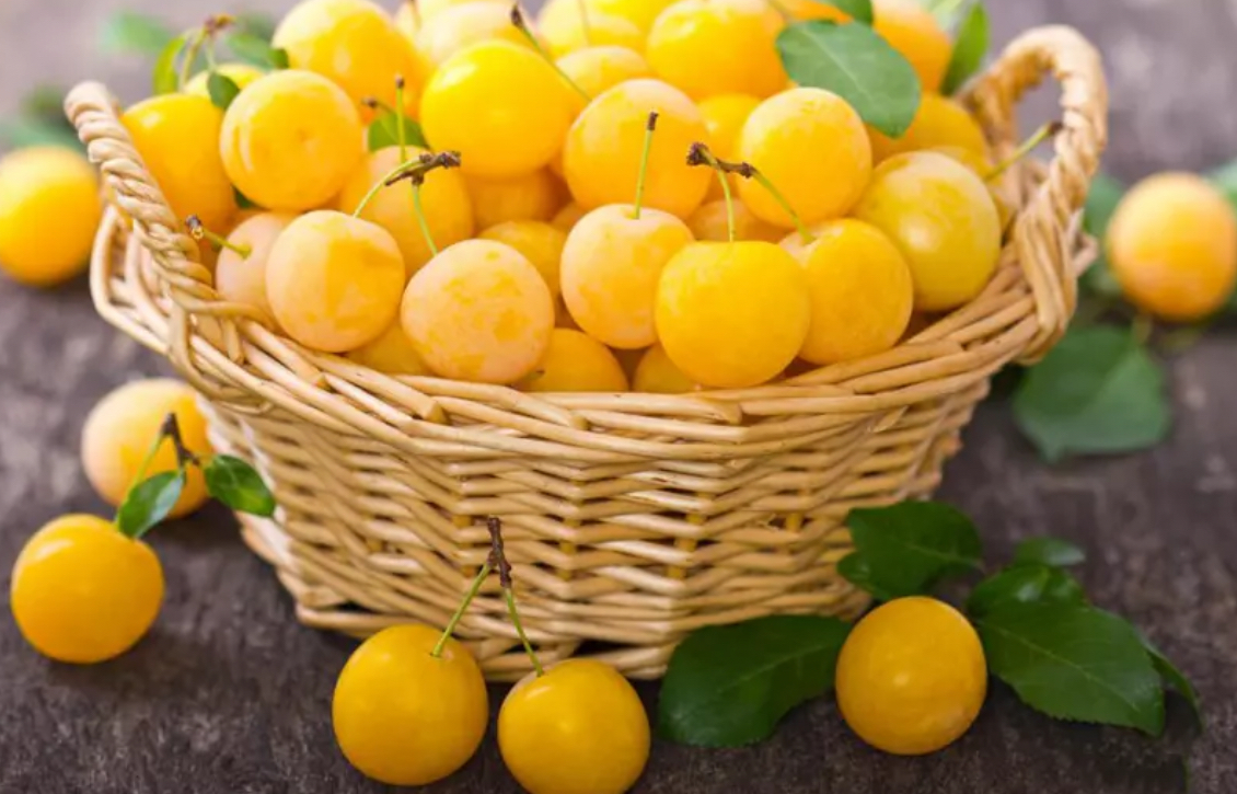 فروش آلو زرد