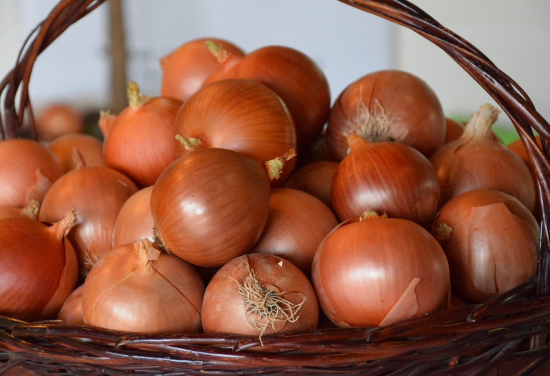 فروش پیاز طلائی