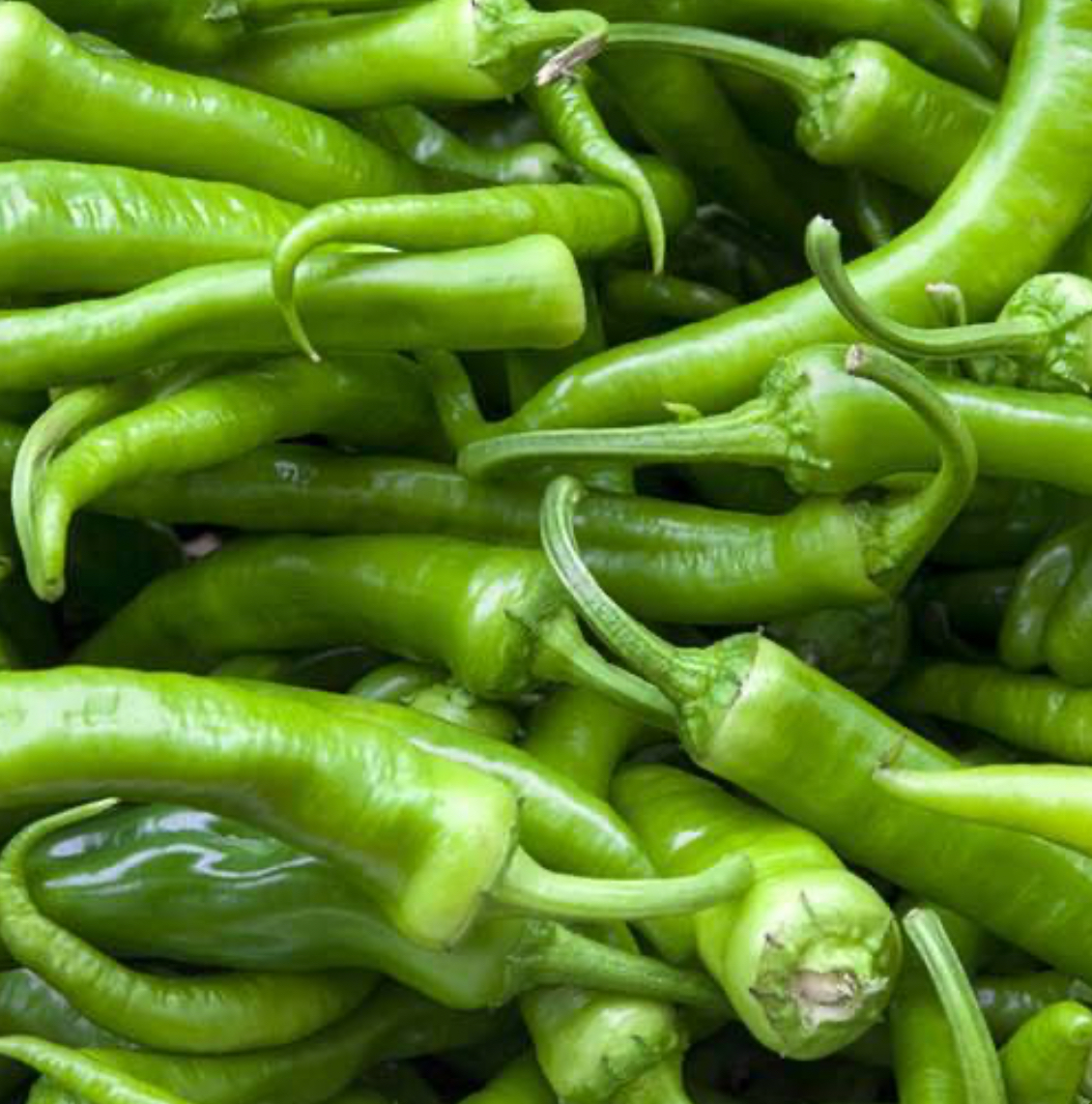 فروش فلفل تند