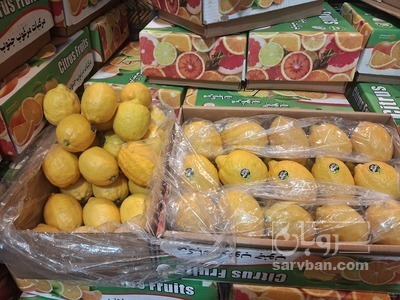 فروش لیمو سنگی