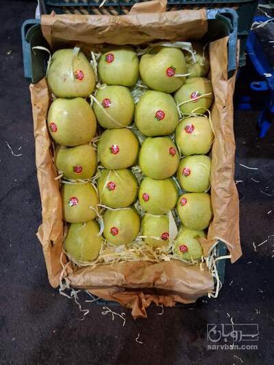فروش سیب زرد