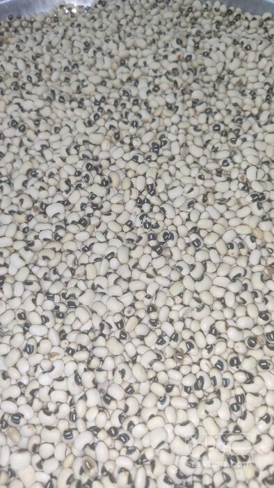 فروش لوبیا چشم بلبلی