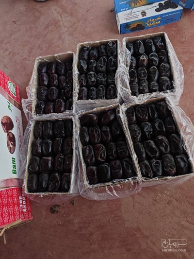 فروش خرمامضافتی