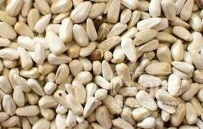 فروش بذرگلرنگ