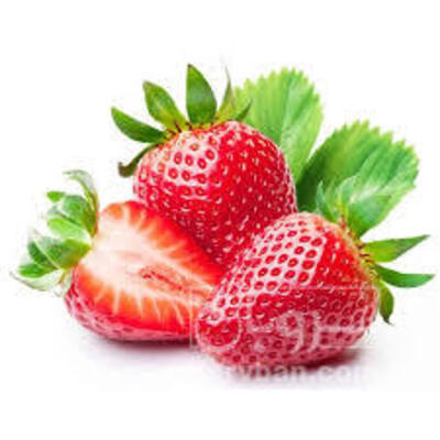 فروش توت فرنگی