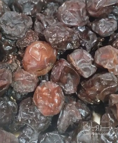 فروش آلو برقان