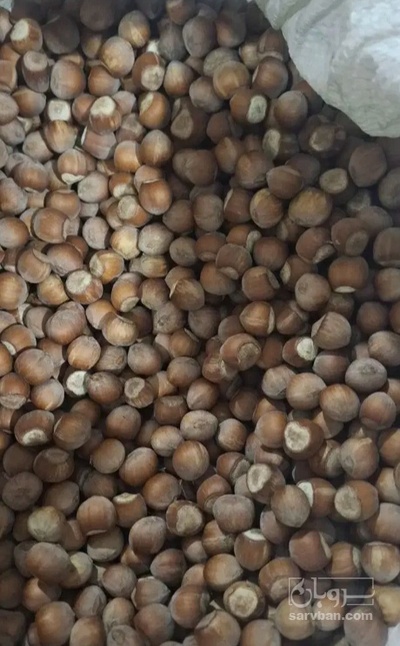 فروش فندق
