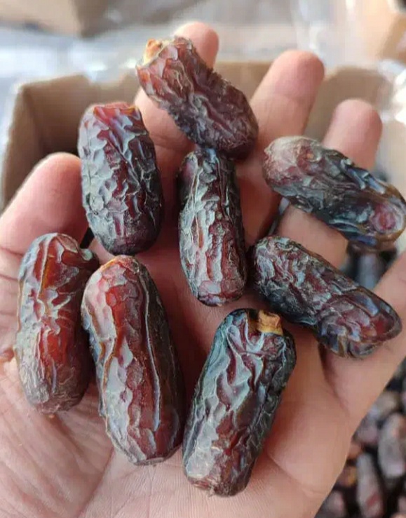 فروش خرما پبارم