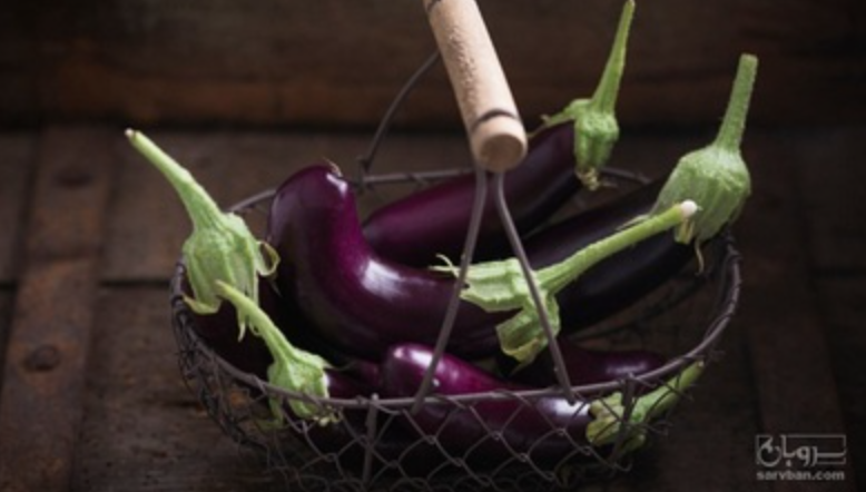 فروش بادمجان قلمی