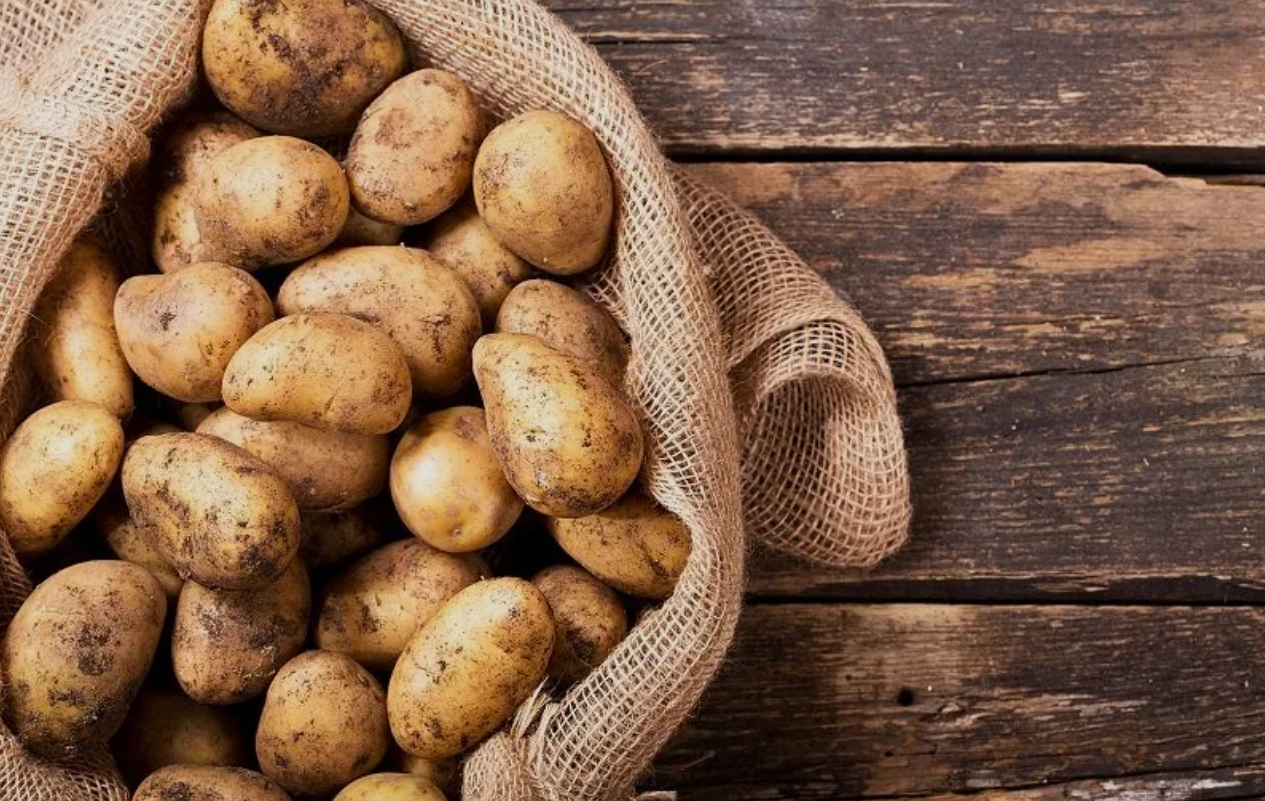 فروش سیب زمینی