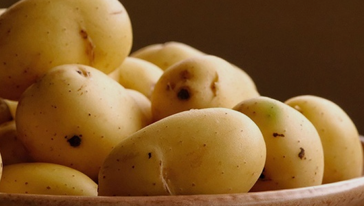 فروش سیب زمینی