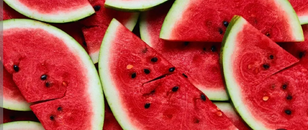 فروش هندوانه