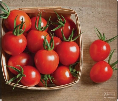 فروش گوجه فرنگی