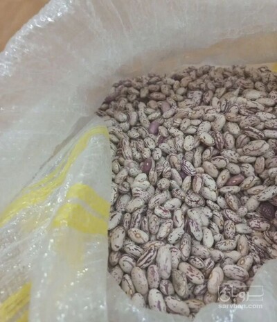 فروش لوبیا چیتی