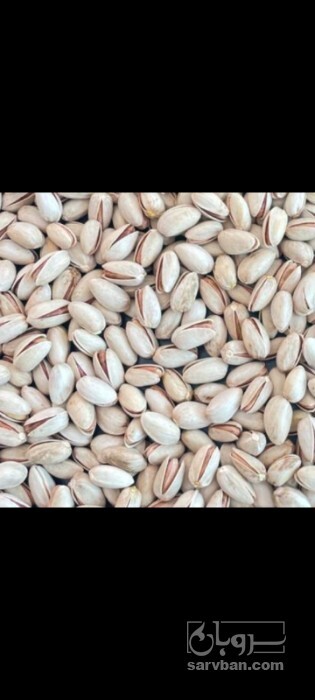 فروش پسته احمد اقایی