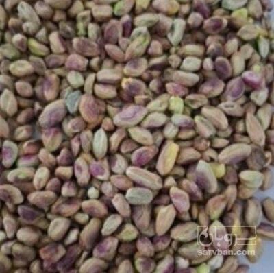 فروش مغز پسته سالم