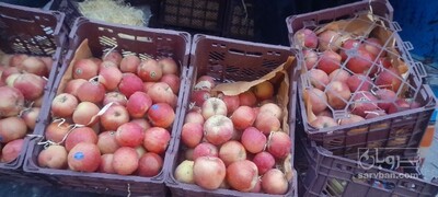 فروش سیب